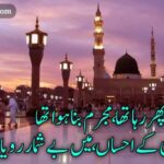 دربار مصطفی  میں ، زار و قطار رویا | نعت شریف اردو | naat poetry 2 lines