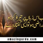 مختصر زندگی نیک کردار دے