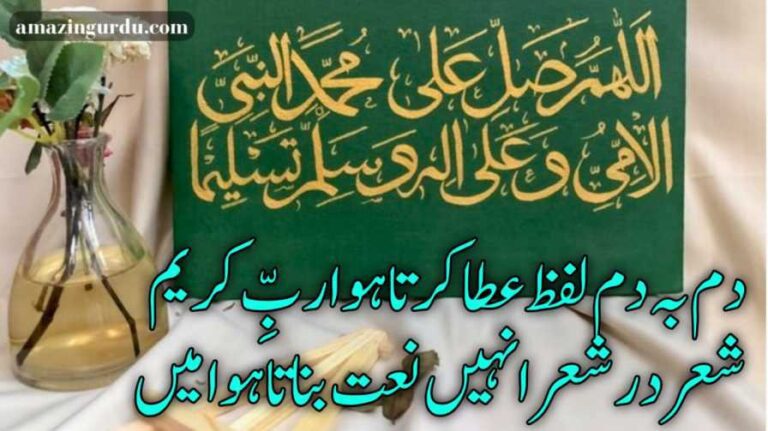 در بہ در مدحت سرکار سناتا ہوا میں | نعت شریف اردو شاعری | naat poetry 2 lines