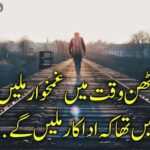 سوچا تھا کٹھن وقت میں غمخوار ملیں گے | مطلبی دوست شاعری | friend poetry
