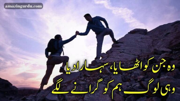 زمانے کو ہم آزمانے لگے ستم گر ستم پھر سے ڈھانے لگے | خود غرض دوست پر اشعار