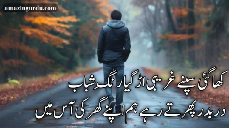 کٹ گئی ہے زندگانی ہم سفر کی آس میں| آس پر اشعار| sad poetry urdu