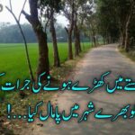 خط کئی لکھے مگر اک بھی نہ اِرسال کیا | دکھی اداس شاعری | sad poetry urdu