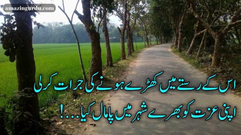 خط کئی لکھے مگر اک بھی نہ اِرسال کیا | دکھی اداس شاعری | sad poetry urdu