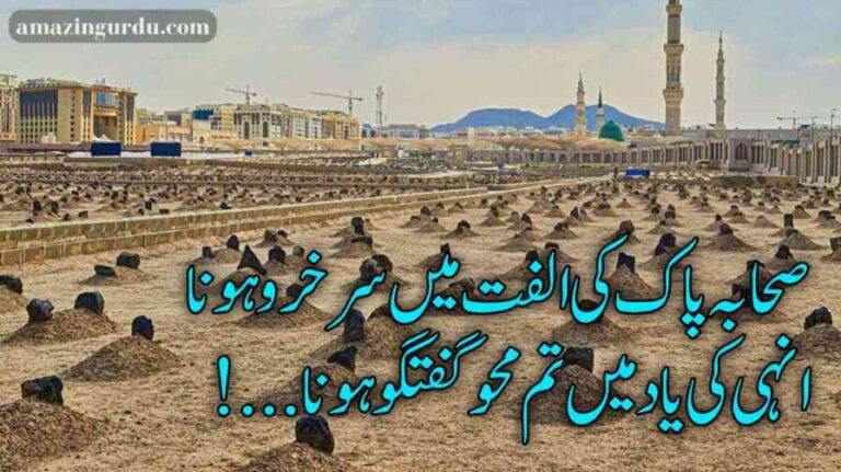 صحابہ پاک کی الفت میں سرخرو ہونا | شان صحابہ پر کلام | Urdu poetry Islamic