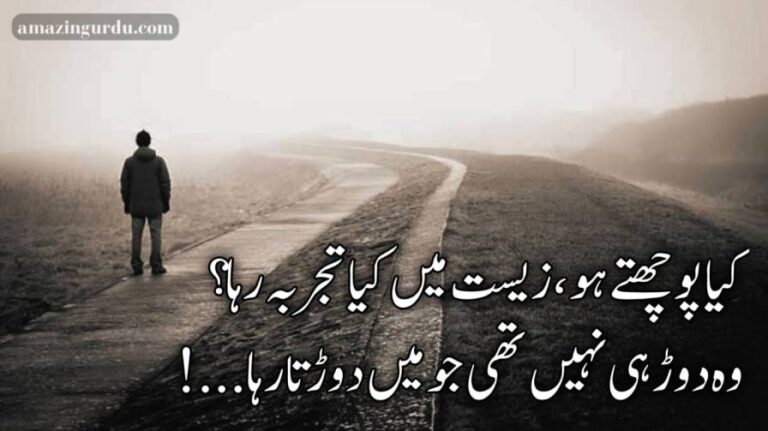 کیا پوچھتے ہو ،زیست میں کیا تجربہرہا ؟ | دکھی اداس اردو شاعری| urdu poetry sad 2 lines