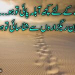 حق جتانے کے لئے کچھ آبلہ پائی تو ہو | انقلابی اشعار و غزل | urdu poetry inqalabi