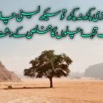 عشق ہی کافی نہیں دیوانگی کے دشت میں | دشت پر اشعار | urdu ghazal lyrics