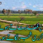 دشت کو پُرفضا بناتے ہوئے | غمگین شاعری اردو | urdu sad poetry 2 lines