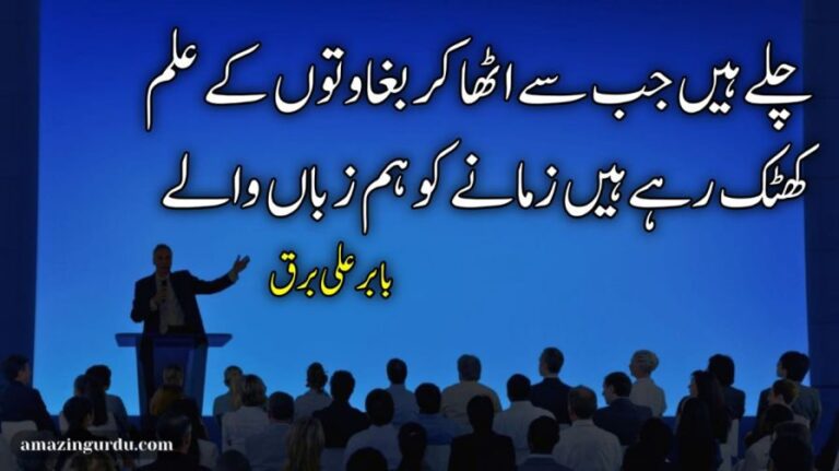 سمجھ رہے ہیں گنہگار سب جہاں والے | انقلابی اشعار | inqalabi poetry