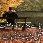 ہم ہیں دنیا سے بیزار سادہ صفت ہم سے عشق و محبت نہ فرمائیے | غمگین اردو شاعری
