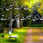 لگتا ہے کہ تم مجھ سے محبت نہیں کرتے | محبت پر اشعار | best urdu poetry love