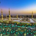 ہر اک افق پر ضیائے رحمت کے رنگ چھائے، نبی جب آئے | نعت شریف | naat written