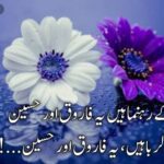 ہم سب کے رہنما ہیں یہ فاروق اور حسین |شان عمر فاروق اور شان حسین پر کلام