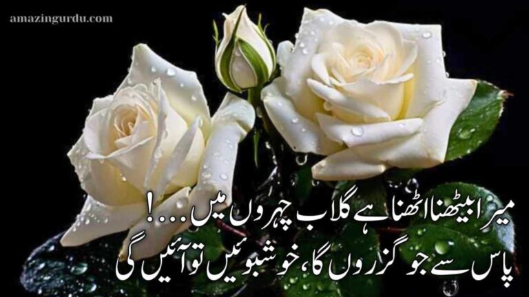 اُس کے پاس جانے سے، راحتیں تو آئیں گی | محبت پر اشعار |love poetry in urdu text