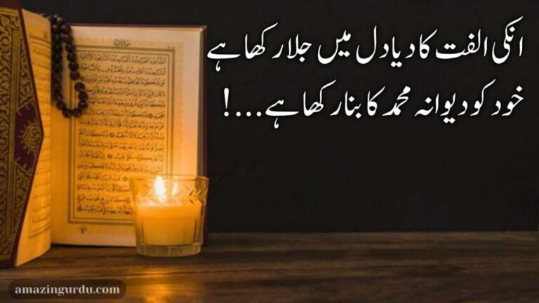 انکی الفت کا دیا دل میں جلا رکھا ہے | نعت رسول مقبول | naat poetry in urdu two lines