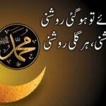 مصطفی آئے تو ہو گئی روشنی | نعت رسول مقبول |Poetry for naat in Urdu