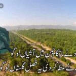 میرے اجداد نے مانگا چمن میں آشیاں لوگو | وطن سے محبت پر اشعار