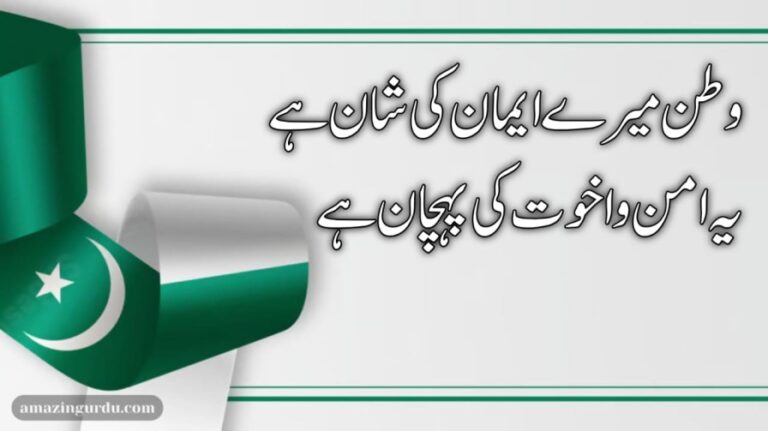 وطن عشق میرا وطن جان و دل | وطن کی محبت پر اشعار | poetry about pakistan in urdu