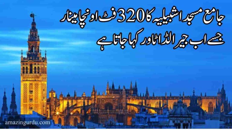 محمد بن تومرت شمالی افریقہ کے بربر مسلمانوں کی سلطنت کا بانی