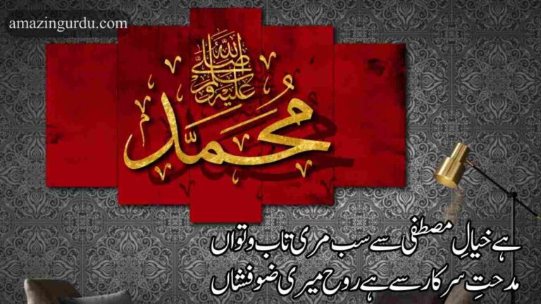 ہے خیالِ مصطفی سے سب مری تاب و تواں | خوبصورت اردو نعت | naat urdu text