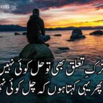 کیا کروں ترک ِ تعلق بھی تو حل کوئی نہیں | اردو غزل | attitude shayari in urdu