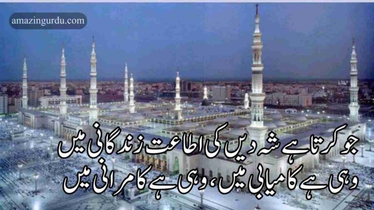 جو کرتا ہے شہ دیں کی اطاعت زندگانی میں | نعت رسول | poetry for naat in urdu