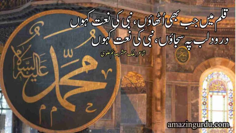 قلم میں جب بھی اُٹھاؤں نبی کی نعت کہوں | اردو نعت | Naat poetry in Urdu two