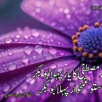 شان والے مصطفیٰ کا یار پہلا بوبکر |خلیفہ اول حضرت ابوبکر صدیق کی شان میں اشعار