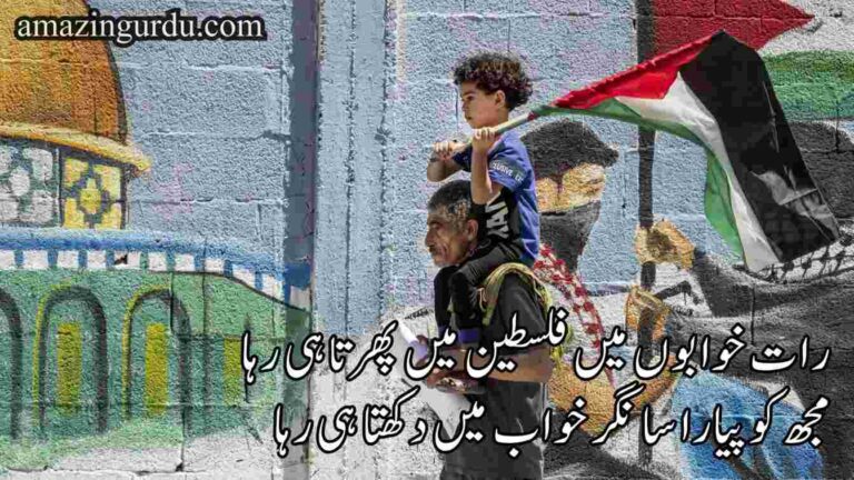 رات خوابوں میں فلسطین میں پھرتا ہی رہا | فلسطین پر خوبصورت اردو شاعری