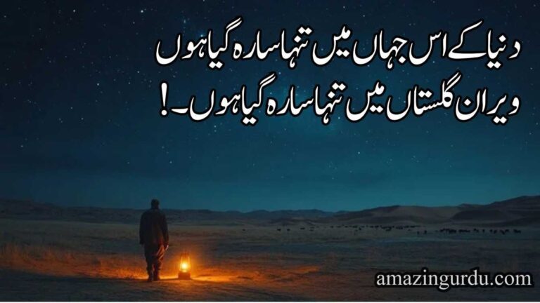 دنیا کے اس جہاں میں تنہا سا رہ گیا ہوں | تنہائی پر اشعار