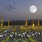 رحمتِ دو جہاں جیسا کوئی نہیں | رحمت عالم پر اشعار | naat poetry in urdu