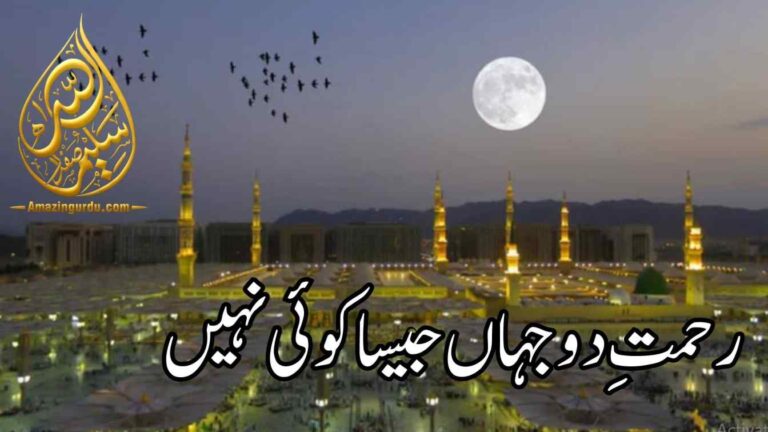 رحمتِ دو جہاں جیسا کوئی نہیں | رحمت عالم پر اشعار | naat poetry in urdu