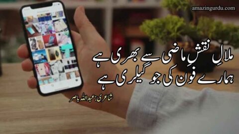 ملالِ نقشِ ماضی سے بھری ہے ہمارے فون کی جو گیلری ہے | اردو شاعری