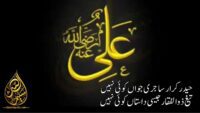 حیدر قرار سا جری جواں کوئی نہیں | حضرت علی کی شان میں اشعار