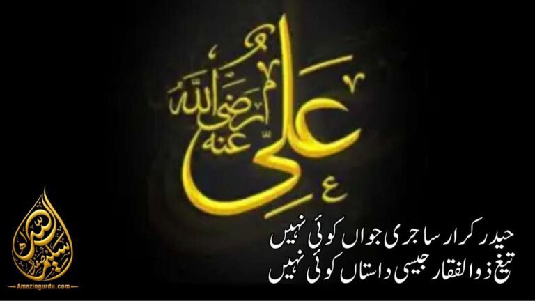 حیدر قرار سا جری جواں کوئی نہیں | حضرت علی کی شان میں اشعار