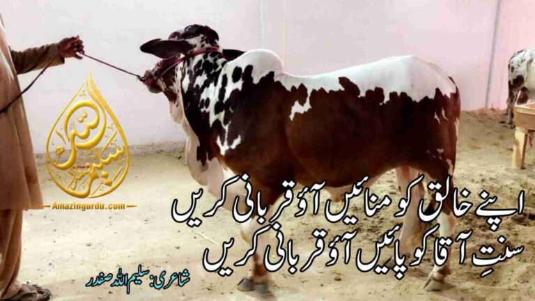 اپنے خالق کو منائیں آؤ قربانی کریں | قربانی پر اشعار