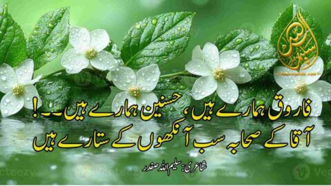 فاروق ہمارے ہیں ، حسنین ہمارے ہیں | شانِ صحابہ پر اشعار | شانِ صحابہ پر اشعار