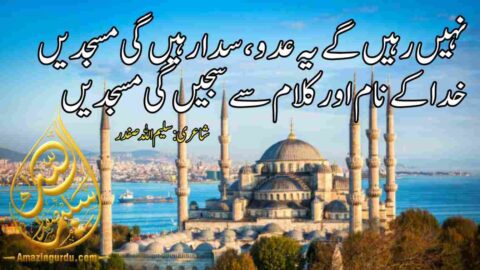 نہیں رہیں گے یہ عدو ،سدا رہیں گی مسجدیں | مساجد پر اشعار
