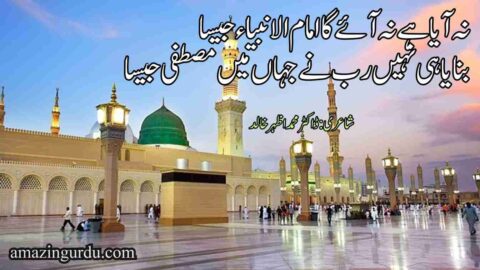 نہ آیا ہے نہ آئے گا امام الانبیاء جیسا | نعت رسول مقبول
