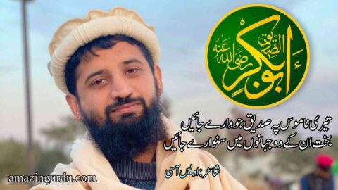 تیری ناموس پہ صدیق جو وارے جائیں | منقبت حضرت ابو بکر صدیق رضی اللہ عنہ