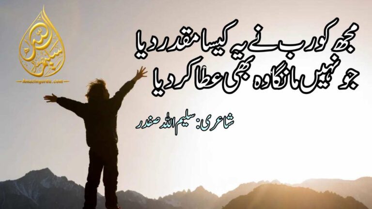 زخمی دل کو سکوں کا سمندر دیا کلمہِ شکر لب سے ہوا جب ادا |رب کے شکر پر اشعار