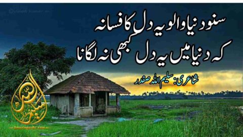 سنو دنیا والو یہ دل کا فسانہ کہ دنیا میں یہ دل کبھی نہ لگانا |فکر آخرت پر اشعار